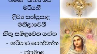 Pray to Mother Mary with  this Hymn