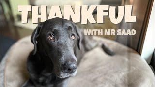 Thankful All Year Around | Why We Say Thanks | Understanding Thankfulness For Kids | Character Ed