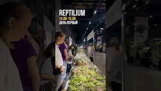 BIOBOX на Рептилиуме — день 1! Столы L16–L19 Успей сегодня, дальше — только в историях!