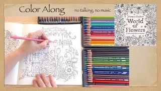 Calming Stress Relief Color Along Johanna Basford's "World of Flowers" Coloring Book ASMR no talking