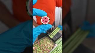 SWEETEST Candy Cutting Tricks You've Ever Seen!