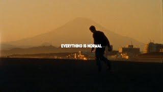 POLAR SKATE CO. - Everything is Normal