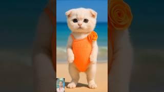 Beautifull ️ Orange  Cat  Dance  #youtubeshorts #cute #shorts #catshorts #trending