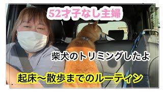[52-year-old housewife without children] Making lunch boxes/Shiba Inu shampoo day/Vacuum cleaner/...