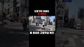 #shorts 도망가지 마세요 안 물어요