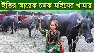 গরুর চেয়ে বেশি লাভ মহিষের খামার করে ইতির আরেক চমক eity mohis