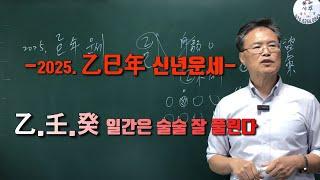 2025 을사년 신년운세-을.임.계 일간은 술술 잘 풀린다.