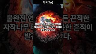 타르(Tar) #상식 #지식 #역사 #발견 #지식공유 #지식나눔 #궁금 #궁금증 #타르