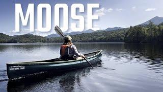 The Moose Experience | An Adirondack Wilderness Paddle