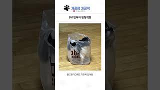 개꿀잼 동물들 16탄 ㅋㅋㅋㅋ