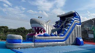 Commercial PVC Inflatable Shark Water Slide with Pool for Summer Party