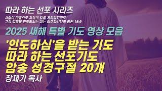 (따라하는 기도시리즈) 252 2025 새해 특별기도 인도하심을 받는 기도 영상 모음, 따라 하는 기도 +따라 하는 선포기도 + 따라 하는 암송  / 장재기 목사