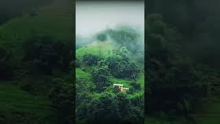 Morning scene at Hills of Nepal#kalati #bhumidanda #panauti #kavre #nepal #sjnhmgn #villagelife #fog