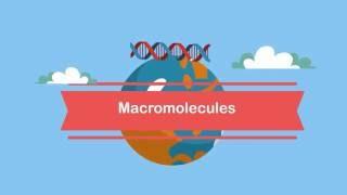 Macromolecules-A Beginners Guide