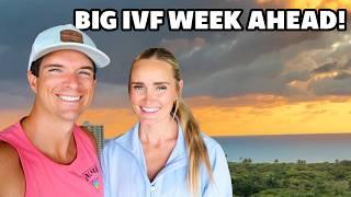 BIG IVF WEEK AHEAD! WHAT'S NEXT IN OUR IVF PROCESS?