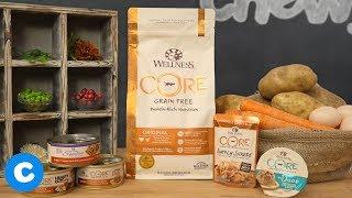 Wellness CORE Cat Food | Chewy