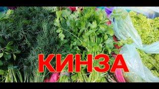 КИНЗА. УНИКАЛЬНЫЕ ЛЕЧЕБНЫЕ СВОЙСТВА. ПОЛЬЗА КИНЗЫ ДЛЯ ЗДОРОВЬЯ МУЖЧИН И ЖЕНЩИН