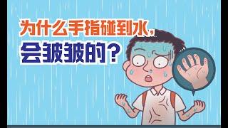 健康冷知识 | 惊奇！为什么手碰到水，手指就会皱皱的？