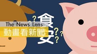 瘦肉精早就開放了？2分鐘回顧美牛進口台灣的歷史！