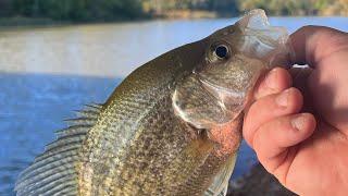 Fall Crappie Fishing