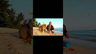 Phần 12 capybara và bà đi chơi biển vọc cát đón hoàng hôn #funny #cartoon #capybara