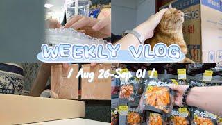 【JUNE】VLOG|魔都上班族日常|miniGRWM|撸猫快乐|KKV|霸王茶姬周边开箱|我离职啦