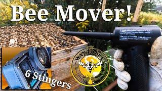 Defensive Bee Brushless Removal Honey Frame-Swap  Quick Tip