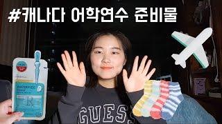 위니펙 대학교 가즈아~!! 어학연수 짐싸기에는 뭐가 필요할까? : [ 캐어풀 ] #01. 캐나다 어학연수에 필요한 준비물