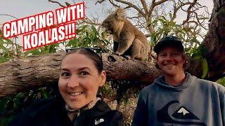 Camping with Koalas on the Eyre Peninsula! Mikkira Station Stay!