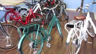 Blue Monkey Electric Bikes---A Shop Visit