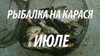 ЛОВЛЯ КАРАСЯ В ИЮЛЕ. ЛЕТНЯЯ КАРАСЕВАЯ РЫБАЛКА НА ФИДЕР И ПОПЛАВОЧНУЮ УДОЧКУ