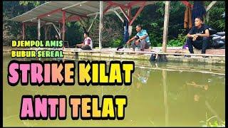 Mancing Ikan Mas Umpan Amis Campur Kacang ijo | Strike Kilat Bro !!!