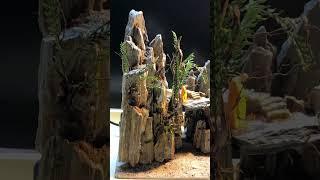 Aquascape Tutorial: Semi-terrain aquatic aquarium in rocky mountain style