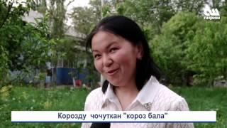 Короз бала #ОшПирим