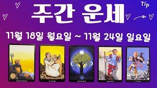 [타로/주간 운세]11월 넷째 주/직장/금전/사업/시험/애정/관계/컨디션