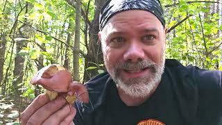 Short-stalked and Chicken Fat Boletes with The Mushroom Hunter