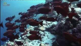 Seven Signs of the Apocalypse - HISTORY - Mike Cooper - British Voiceover Artist