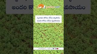 JHK Farmer Quote | Motivational quotes Telugu II Inspirational Quotes II Telugu Quotes #jhk