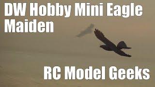 DW Hobby Mini Eagle Maiden RC Model Geeks