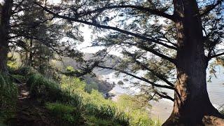 Trinidad State beach, Elk Head trail and College Cove Coastal Forest and cliffside path Hike