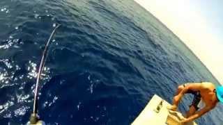 Small Gt strike on GoPro Read Sea