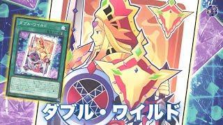 Search LV 10 !! Double Wild DECK NEW CARD - YGOPRO