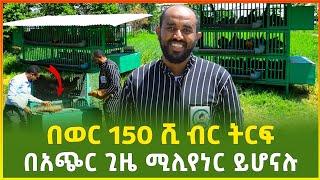 የዘመናችን ድንቅ ገበሬ ! ከ52-58% ትርፍ አገኛለሁ | በአጭር ግዜ ሚሊየነር የሚሆኑበት ስራ |ብሊየነሩ ገበሬ ቁ.2 |business | Gebeya