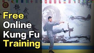 🩸All Free Online Shaolin Kung Fu Course Lesson 1  Learn Chinese Shaolin Kung Fu at Home #kungfu