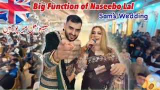 Naseebo Lal on Sam Ghalib’s Wedding  || Big function of naseebo lal in Islamgarh