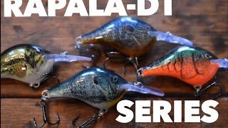 Rapala DT Series Crankbait Review