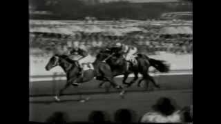 Randwick Racecourse-04/10/1965 Spring Carnival (Metropolitan Day)