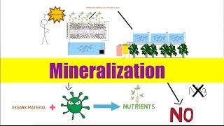 Aquaponics Mineralization | Ask The Aquaponics God Ep27