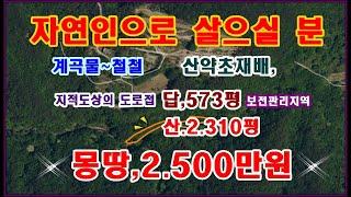 물번,84번) 계곡물철철,답,573평,임야2.310평,몽땅,2.500만원,급매매) 나즈막한 임야,답,2.883평을 싼 값에 급 매매합니다, 큰 계곡접,지적도상의 도로접 합니다,