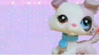 The littlest pet shop stop